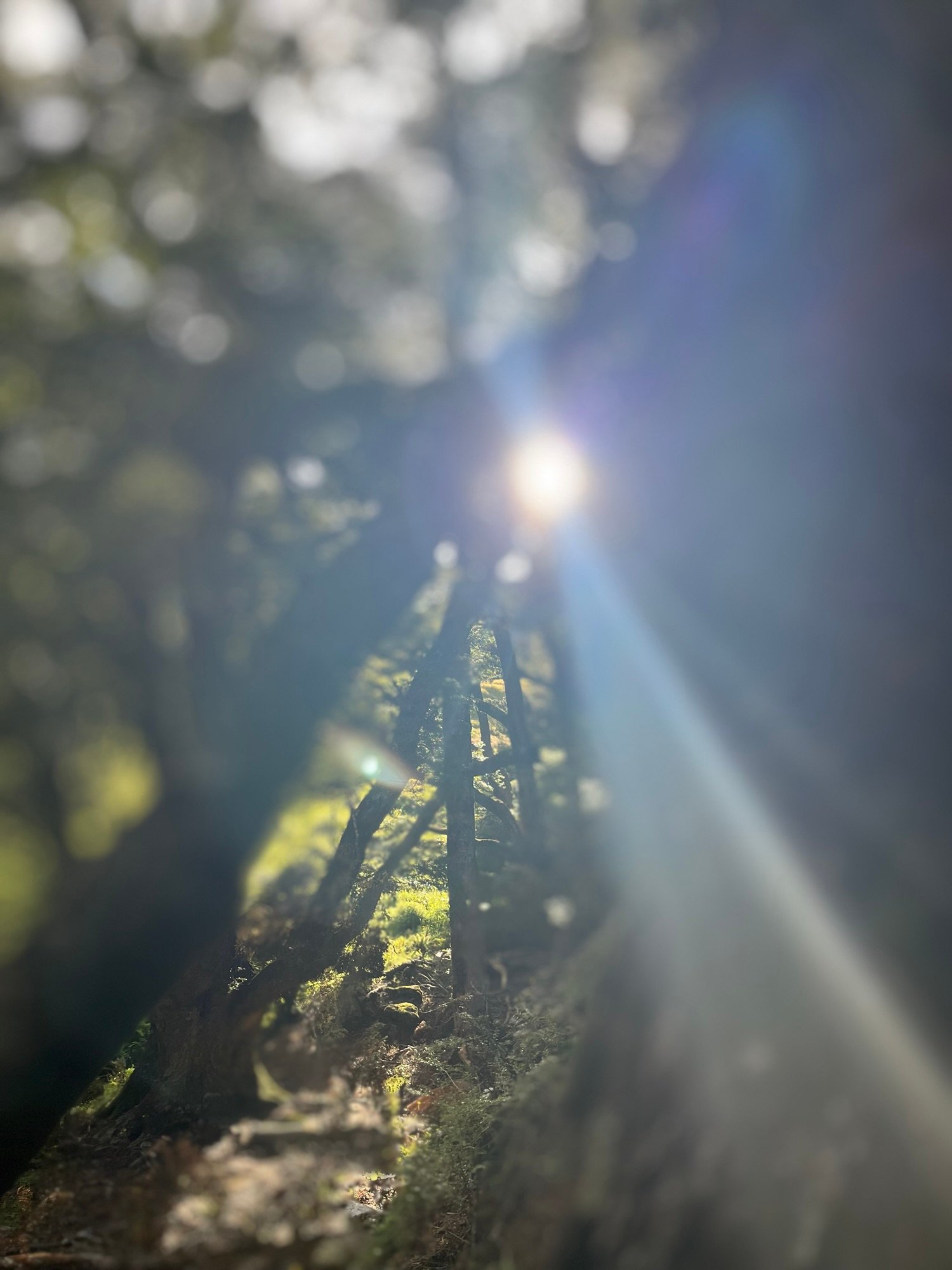 Éveil du corps subtil et de la perception énergétique